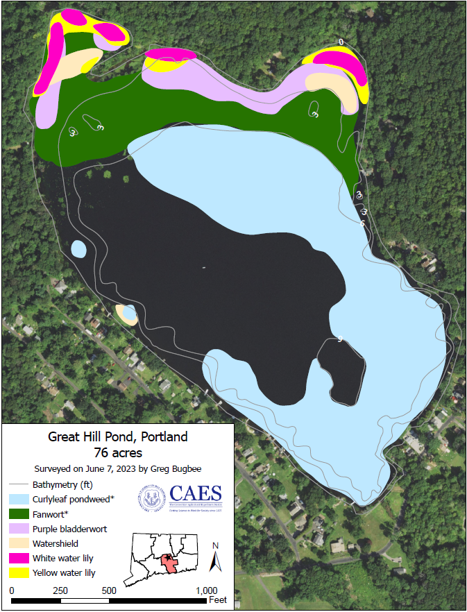 Map of Great Hill Pond showing invasive weed affected areas as of June 2023